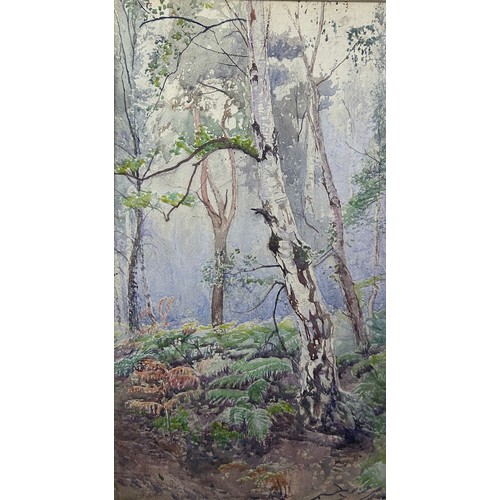 131 - A WATERCOLOUR ON PAPER OF WIMBLEDON COMMON, depicting trees and undergrowth, 

Mounted in a frame an... 