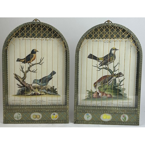 242 - A PAIR OF DECORATIVE WALL HANGING ENGRAVINGS OF BIRDS, mounted in caged glass display cases, hand pa... 