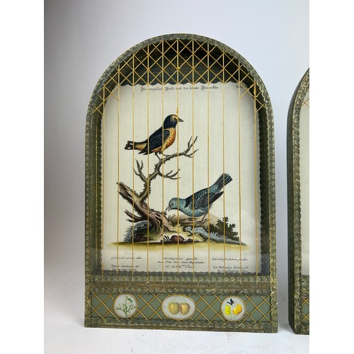 242 - A PAIR OF DECORATIVE WALL HANGING ENGRAVINGS OF BIRDS, mounted in caged glass display cases, hand pa... 