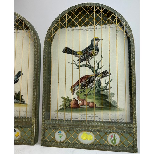 242 - A PAIR OF DECORATIVE WALL HANGING ENGRAVINGS OF BIRDS, mounted in caged glass display cases, hand pa... 