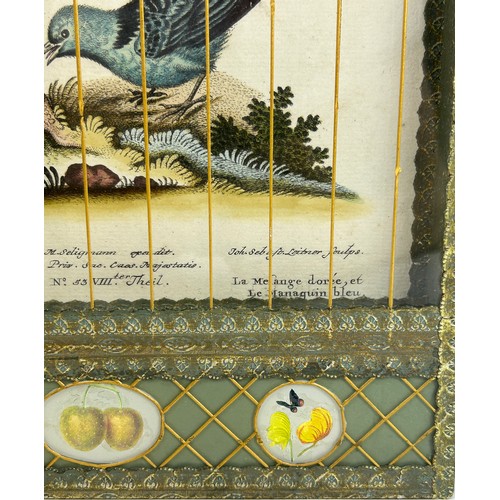 242 - A PAIR OF DECORATIVE WALL HANGING ENGRAVINGS OF BIRDS, mounted in caged glass display cases, hand pa... 