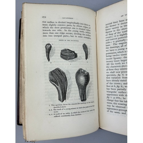 3 - GIDEON MANTELL (1790-1852) 'A GEOLOGY OF SOUTH EAST ENGLAND' 1833, 

Five lithographic plates. The f... 