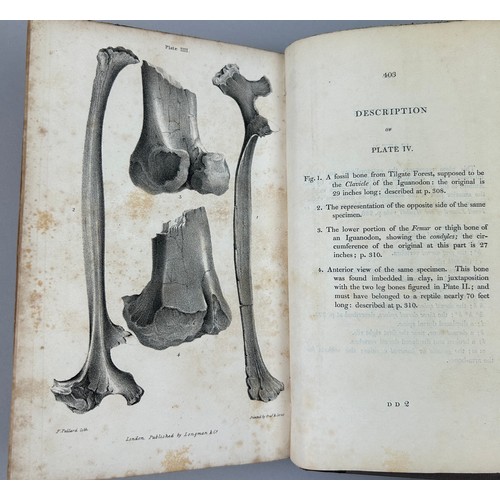 3 - GIDEON MANTELL (1790-1852) 'A GEOLOGY OF SOUTH EAST ENGLAND' 1833, 

Five lithographic plates. The f... 