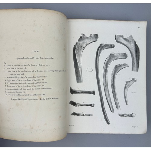 9 - RICHARD OWEN (1804-1892) MONOGRAPH OF THE WEALDEN AND PURBECK FORMATIONS, 

Modern binding. 82 Litho... 