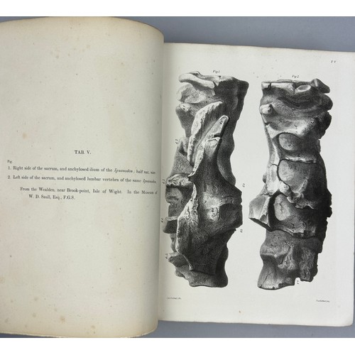 9 - RICHARD OWEN (1804-1892) MONOGRAPH OF THE WEALDEN AND PURBECK FORMATIONS, 

Modern binding. 82 Litho... 