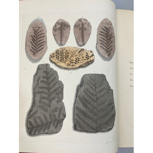 2 - GIDEON MANTELL (1790-1852) 'PICTORIAL ATLAS OF FOSSIL REMAINS' 1850, 

Tooled leather book, 74 hand ... 