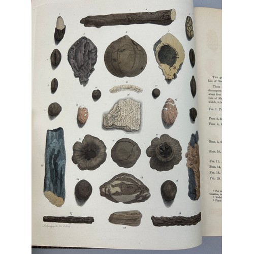 2 - GIDEON MANTELL (1790-1852) 'PICTORIAL ATLAS OF FOSSIL REMAINS' 1850, 

Tooled leather book, 74 hand ... 