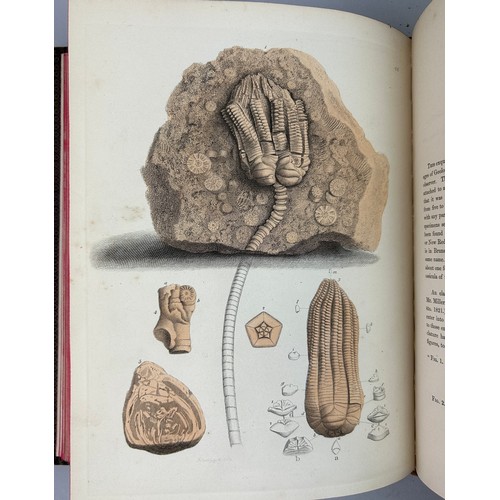 2 - GIDEON MANTELL (1790-1852) 'PICTORIAL ATLAS OF FOSSIL REMAINS' 1850, 

Tooled leather book, 74 hand ... 