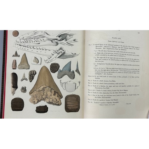 2 - GIDEON MANTELL (1790-1852) 'PICTORIAL ATLAS OF FOSSIL REMAINS' 1850, 

Tooled leather book, 74 hand ... 