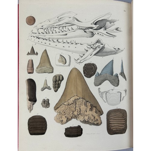 2 - GIDEON MANTELL (1790-1852) 'PICTORIAL ATLAS OF FOSSIL REMAINS' 1850, 

Tooled leather book, 74 hand ... 