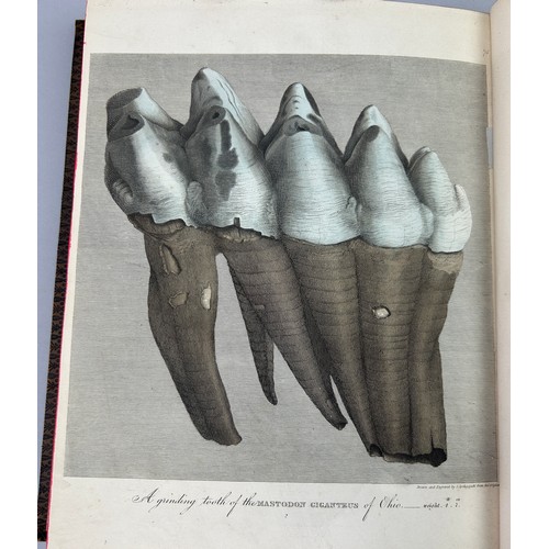 2 - GIDEON MANTELL (1790-1852) 'PICTORIAL ATLAS OF FOSSIL REMAINS' 1850, 

Tooled leather book, 74 hand ... 