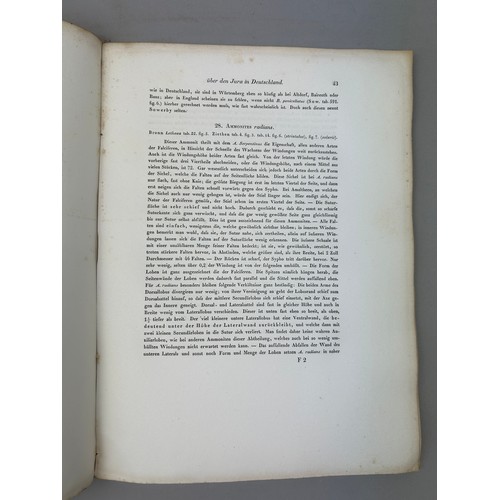 7 - CHRISTIAN LEOPOLD VON BUCH 'UBER DEAR JURA IN DEUTSCHLAND' 1839, 

87 pages, three plates (two fold ... 