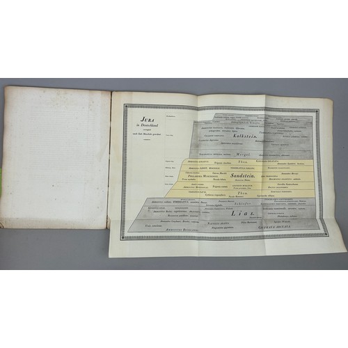 7 - CHRISTIAN LEOPOLD VON BUCH 'UBER DEAR JURA IN DEUTSCHLAND' 1839, 

87 pages, three plates (two fold ... 