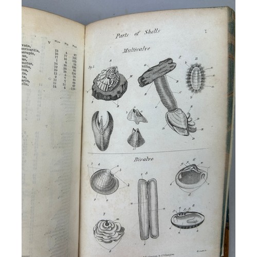 6 - A COLLECTION OF BOOKS ON FOSSILS AND SHELLS (4) 

William Turton (1762-1835) Conchological Directory... 