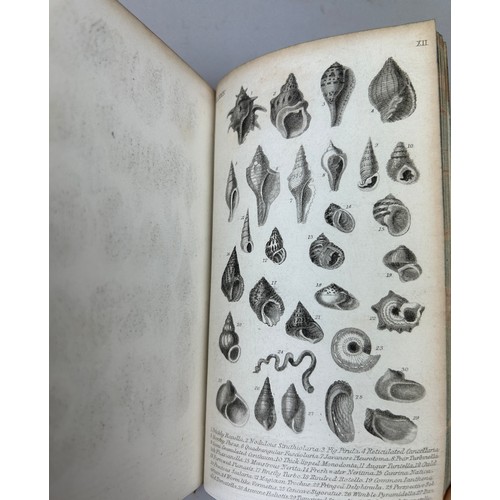 6 - A COLLECTION OF BOOKS ON FOSSILS AND SHELLS (4) 

William Turton (1762-1835) Conchological Directory... 