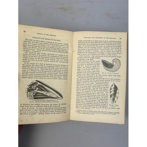 6 - A COLLECTION OF BOOKS ON FOSSILS AND SHELLS (4) 

William Turton (1762-1835) Conchological Directory... 