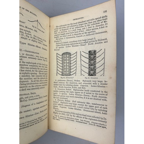 6 - A COLLECTION OF BOOKS ON FOSSILS AND SHELLS (4) 

William Turton (1762-1835) Conchological Directory... 