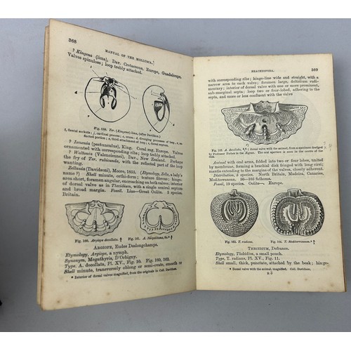 6 - A COLLECTION OF BOOKS ON FOSSILS AND SHELLS (4) 

William Turton (1762-1835) Conchological Directory... 