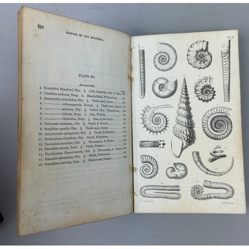 6 - A COLLECTION OF BOOKS ON FOSSILS AND SHELLS (4) 

William Turton (1762-1835) Conchological Directory... 