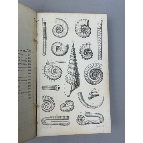 6 - A COLLECTION OF BOOKS ON FOSSILS AND SHELLS (4) 

William Turton (1762-1835) Conchological Directory... 