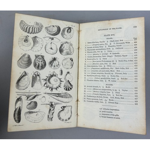 6 - A COLLECTION OF BOOKS ON FOSSILS AND SHELLS (4) 

William Turton (1762-1835) Conchological Directory... 