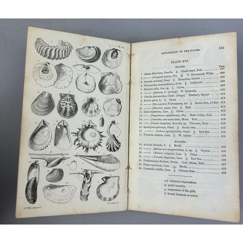 6 - A COLLECTION OF BOOKS ON FOSSILS AND SHELLS (4) 

William Turton (1762-1835) Conchological Directory... 