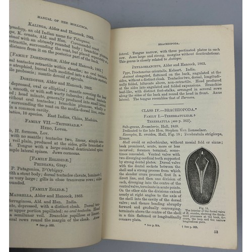 6 - A COLLECTION OF BOOKS ON FOSSILS AND SHELLS (4) 

William Turton (1762-1835) Conchological Directory... 