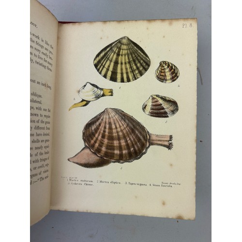 6 - A COLLECTION OF BOOKS ON FOSSILS AND SHELLS (4) 

William Turton (1762-1835) Conchological Directory... 