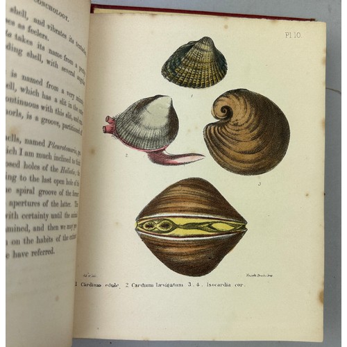 6 - A COLLECTION OF BOOKS ON FOSSILS AND SHELLS (4) 

William Turton (1762-1835) Conchological Directory... 