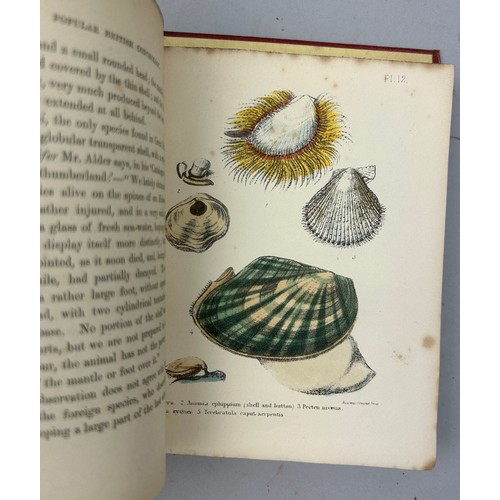 6 - A COLLECTION OF BOOKS ON FOSSILS AND SHELLS (4) 

William Turton (1762-1835) Conchological Directory... 