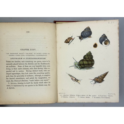 6 - A COLLECTION OF BOOKS ON FOSSILS AND SHELLS (4) 

William Turton (1762-1835) Conchological Directory... 