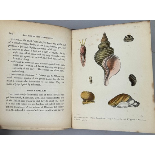 6 - A COLLECTION OF BOOKS ON FOSSILS AND SHELLS (4) 

William Turton (1762-1835) Conchological Directory... 