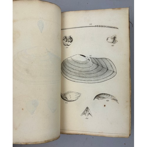 6 - A COLLECTION OF BOOKS ON FOSSILS AND SHELLS (4) 

William Turton (1762-1835) Conchological Directory... 