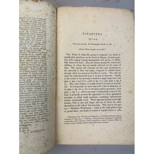 11 - JAMES SCOTT BOWERBANK (1797-1877) A HISTORY OF THE FOSSIL FRUITS AND SEEDS OF THE LONDON CLAY. 

144... 