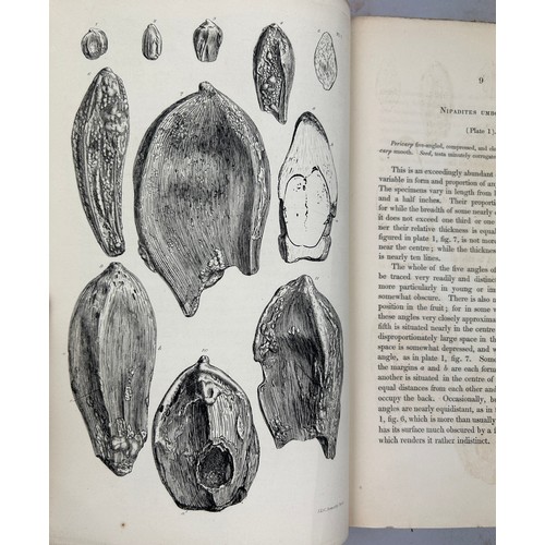 11 - JAMES SCOTT BOWERBANK (1797-1877) A HISTORY OF THE FOSSIL FRUITS AND SEEDS OF THE LONDON CLAY. 

144... 