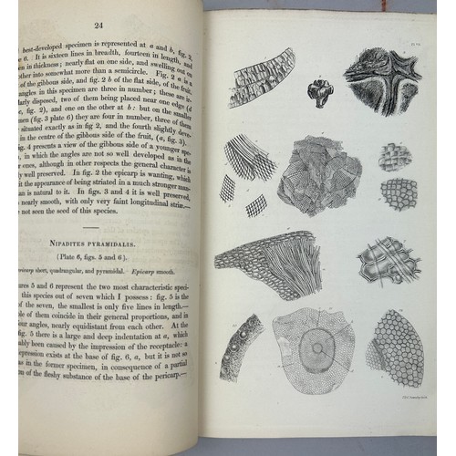 11 - JAMES SCOTT BOWERBANK (1797-1877) A HISTORY OF THE FOSSIL FRUITS AND SEEDS OF THE LONDON CLAY. 

144... 