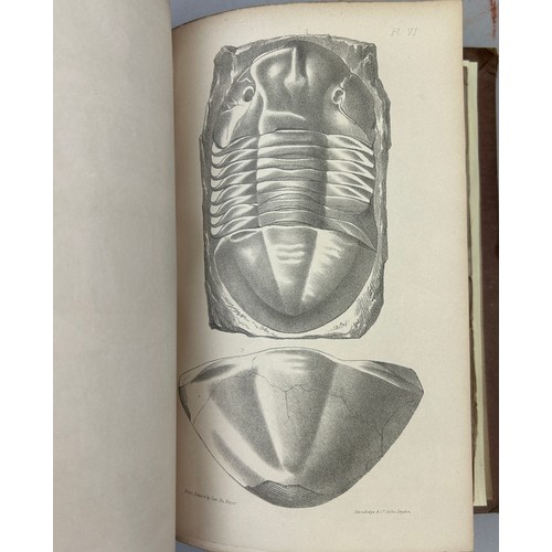 13 - JOSEPH ELLISON PORTLOCK (1794-1864) 'A REPORT OF THE GEOLOGY OF LONDONDERRY AND PARTS OF TYRONE AND ... 