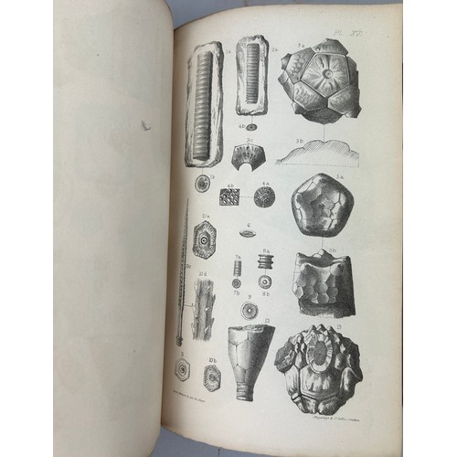 13 - JOSEPH ELLISON PORTLOCK (1794-1864) 'A REPORT OF THE GEOLOGY OF LONDONDERRY AND PARTS OF TYRONE AND ... 