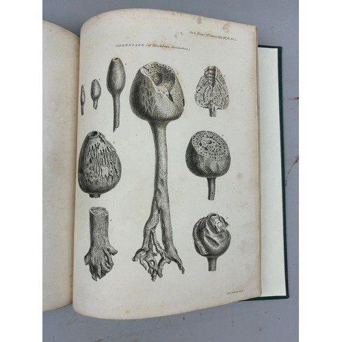 10 - WILLIAM HENRY FITTON (1780-1861) 'OBSERVATIONS ON SOME OF THE STRATA BETWEEN THE CHALK AND OXFORD OO... 