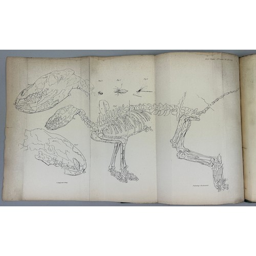 20 - GIDEON MANTELL (1790-1852) WRITTEN PAPER ON THE FOSSIL FOX, 

Geological Society London.

Collection... 