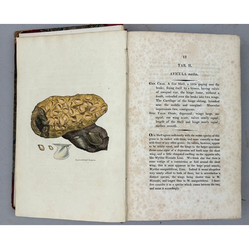 1 - JAMES SOWERBY (1757-1822) 'MINERAL CONCHOLOGY' VOL 1-4 COMPLETE, 1812-1823. 

An exceptionally rare ... 