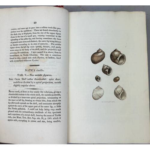 1 - JAMES SOWERBY (1757-1822) 'MINERAL CONCHOLOGY' VOL 1-4 COMPLETE, 1812-1823. 

An exceptionally rare ... 