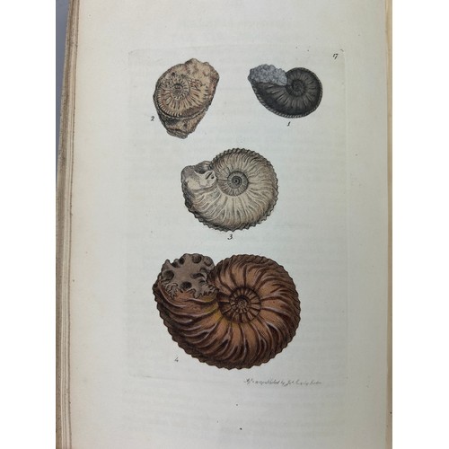 1 - JAMES SOWERBY (1757-1822) 'MINERAL CONCHOLOGY' VOL 1-4 COMPLETE, 1812-1823. 

An exceptionally rare ... 