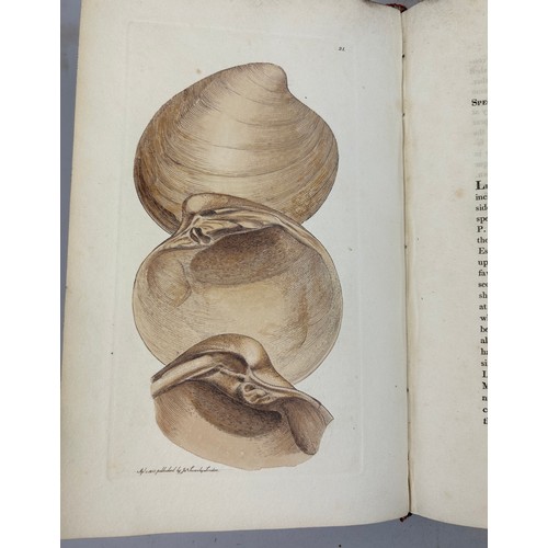 1 - JAMES SOWERBY (1757-1822) 'MINERAL CONCHOLOGY' VOL 1-4 COMPLETE, 1812-1823. 

An exceptionally rare ... 