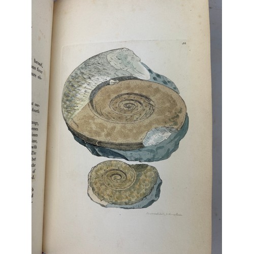 1 - JAMES SOWERBY (1757-1822) 'MINERAL CONCHOLOGY' VOL 1-4 COMPLETE, 1812-1823. 

An exceptionally rare ... 