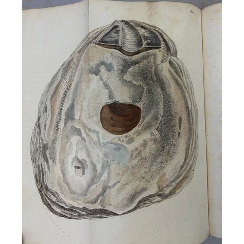 1 - JAMES SOWERBY (1757-1822) 'MINERAL CONCHOLOGY' VOL 1-4 COMPLETE, 1812-1823. 

An exceptionally rare ... 