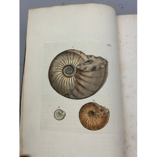 1 - JAMES SOWERBY (1757-1822) 'MINERAL CONCHOLOGY' VOL 1-4 COMPLETE, 1812-1823. 

An exceptionally rare ... 