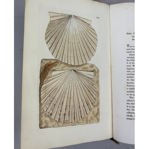 1 - JAMES SOWERBY (1757-1822) 'MINERAL CONCHOLOGY' VOL 1-4 COMPLETE, 1812-1823. 

An exceptionally rare ... 