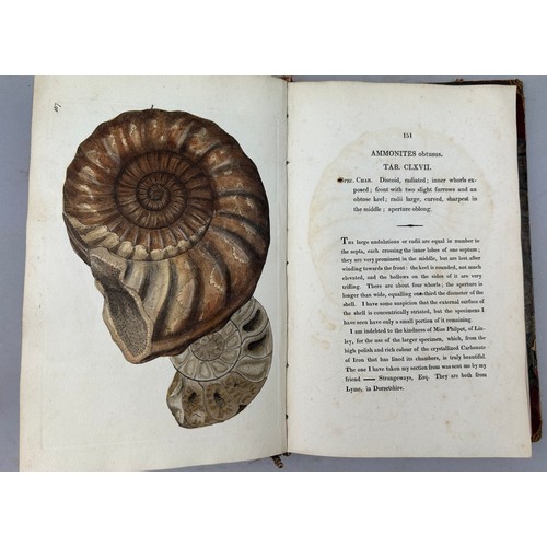 1 - JAMES SOWERBY (1757-1822) 'MINERAL CONCHOLOGY' VOL 1-4 COMPLETE, 1812-1823. 

An exceptionally rare ... 