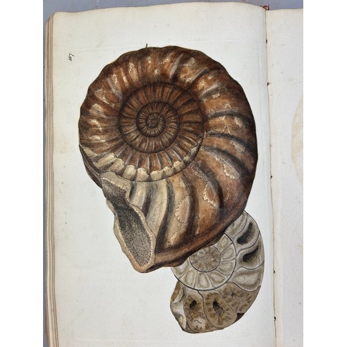 1 - JAMES SOWERBY (1757-1822) 'MINERAL CONCHOLOGY' VOL 1-4 COMPLETE, 1812-1823. 

An exceptionally rare ... 